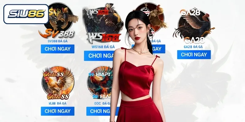 Đá gà trực tiếp đầy kịch tính