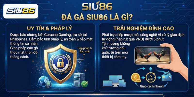 Khái quát về đá gà SIU86