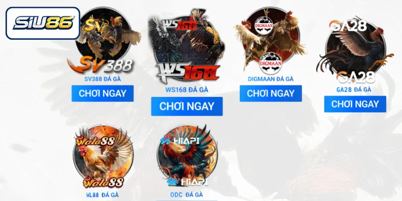 Khám phá sảnh đá gà SIU86 hấp dẫn, thú vị