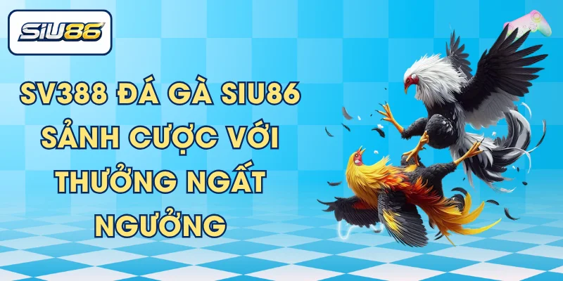 SV388 Đá Gà SIU86 – Sảnh Cược Với Thưởng Ngất Ngưởng