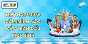 Thể Thao SIU86 - Đắm Mình Vào Các Trận Đấu Kịch Tính