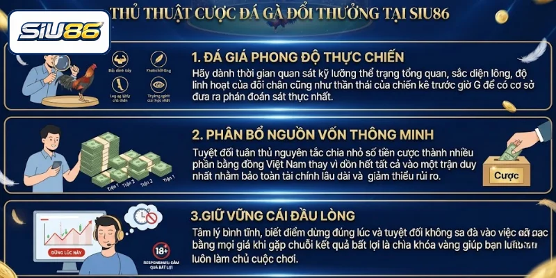 Thủ thuật cược đá gà đổi thưởng tại SIU86