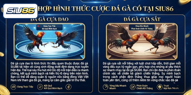 Tổng hợp hình thức cược đá gà có tại SIU86